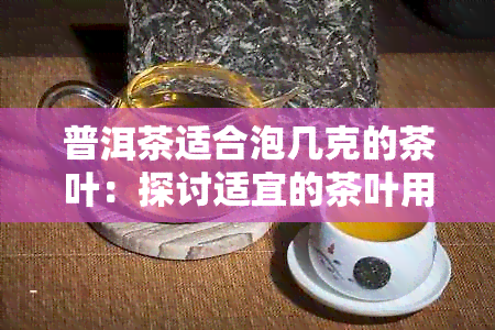 普洱茶适合泡几克的茶叶：探讨适宜的茶叶用量及口感体验