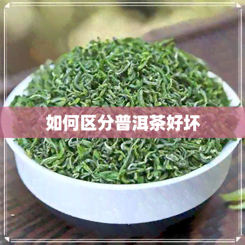 如何区分普洱茶好坏