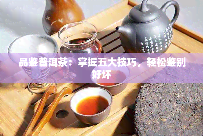 品鉴普洱茶：掌握五大技巧，轻松鉴别好坏