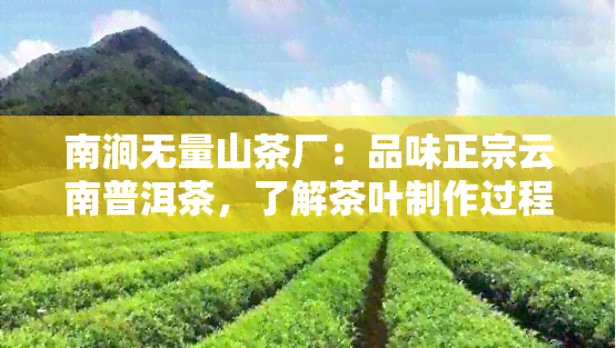 南涧无量山茶厂：品味正宗云南普洱茶，了解茶叶制作过程与品种特点