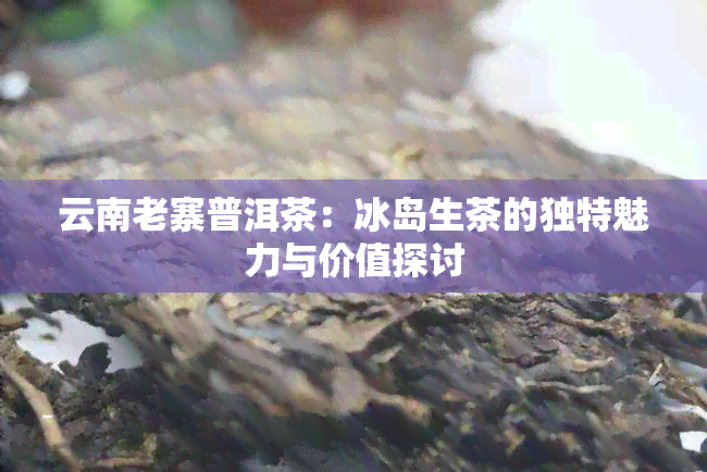 云南老寨普洱茶：冰岛生茶的独特魅力与价值探讨