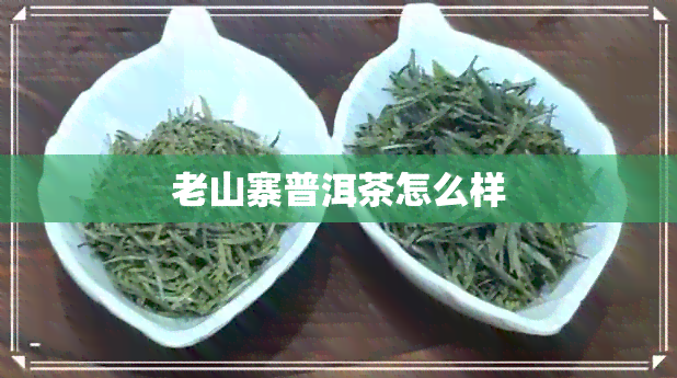 老山寨普洱茶怎么样