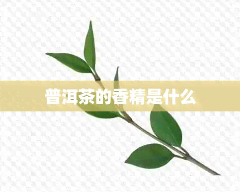 普洱茶的香精是什么