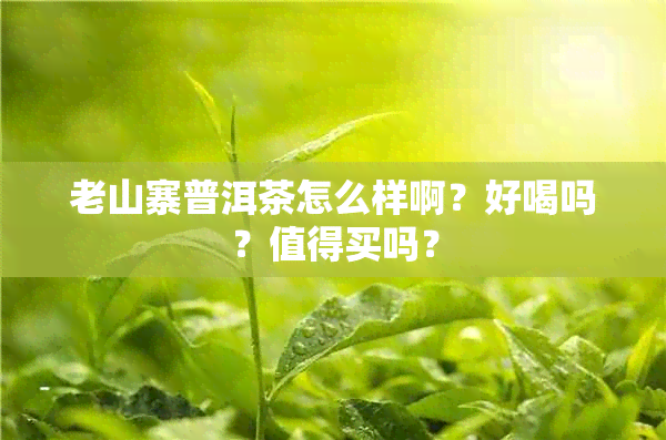 老山寨普洱茶怎么样啊？好喝吗？值得买吗？