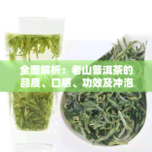 全面解析：老山普洱茶的品质、口感、功效及冲泡方法，解答你的所有疑问