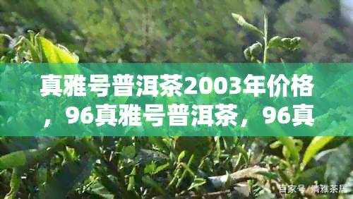 真雅号普洱茶2003年价格，96真雅号普洱茶，96真雅普洱茶的价格