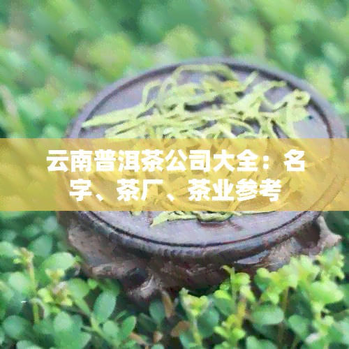 云南普洱茶公司大全：名字、茶厂、茶业参考