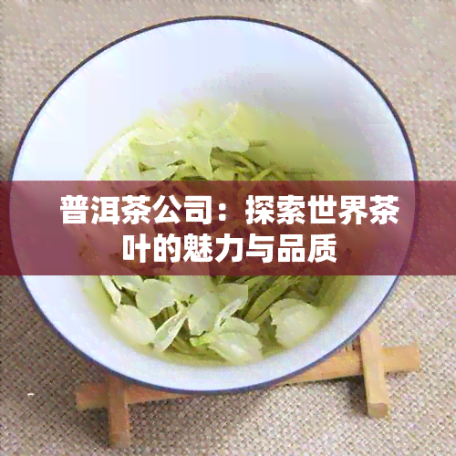 普洱茶公司：探索世界茶叶的魅力与品质