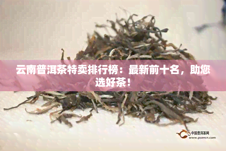 云南普洱茶特卖排行榜：最新前十名，助您选好茶！