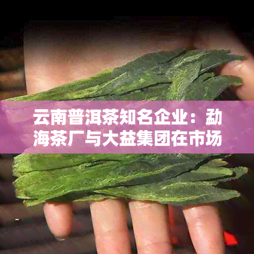 云南普洱茶知名企业：勐海茶厂与大益集团在市场中脱颖而出