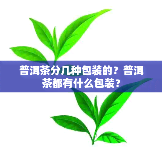 普洱茶分几种包装的？普洱茶都有什么包装？