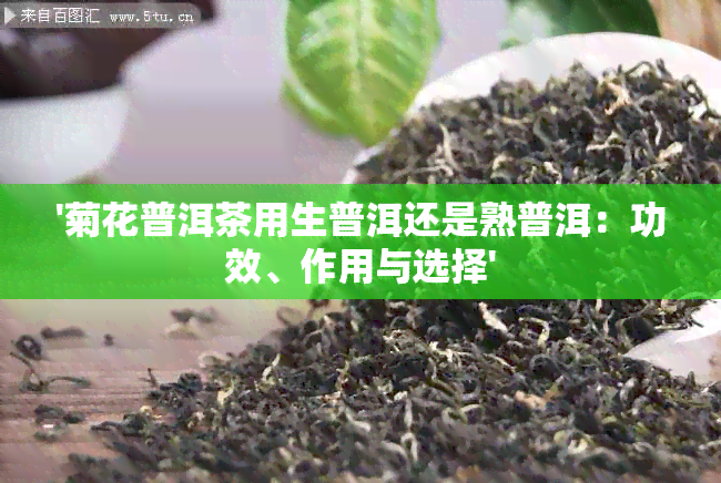 '菊花普洱茶用生普洱还是熟普洱：功效、作用与选择'