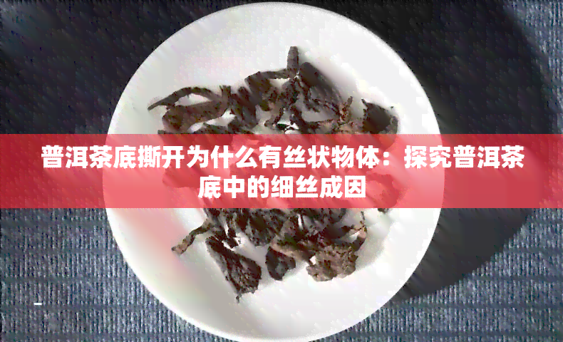 普洱茶底撕开为什么有丝状物体：探究普洱茶底中的细丝成因