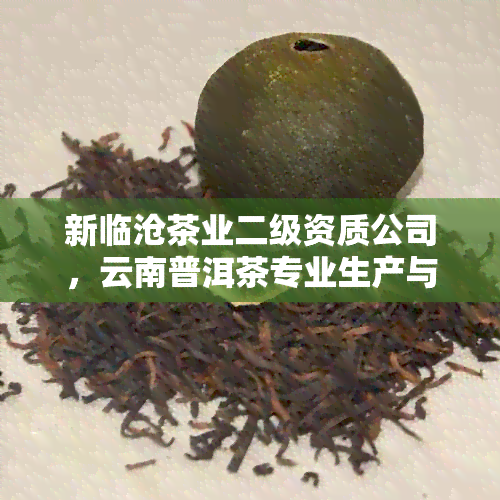 新临沧茶业二级资质公司，云南普洱茶专业生产与销售企业