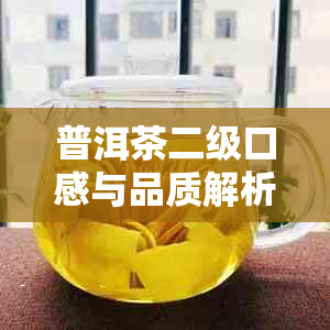 普洱茶二级口感与品质解析：哪个更好？