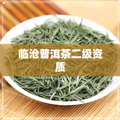 临沧普洱茶二级资质