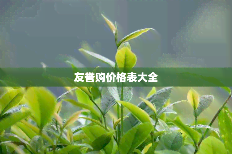 友誉购价格表大全