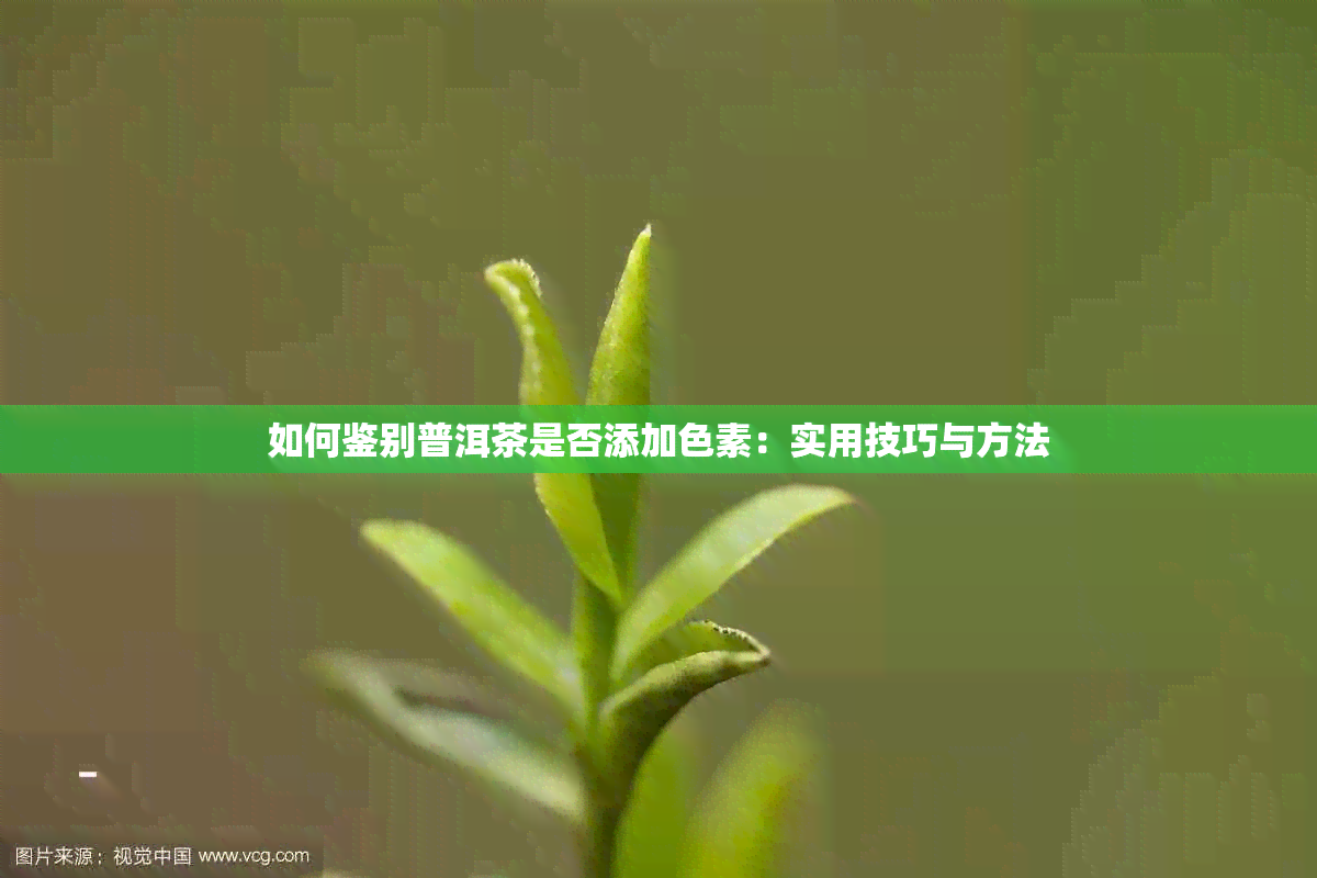 如何鉴别普洱茶是否添加色素：实用技巧与方法