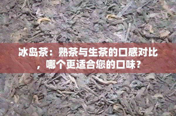 冰岛茶：熟茶与生茶的口感对比，哪个更适合您的口味？