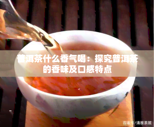 普洱茶什么香气喝：探究普洱茶的香味及口感特点