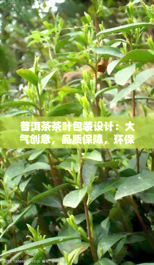 普洱茶茶叶包装设计：大气创意，品质保障，环保纸盒，尽在普洱茶茶叶包装。