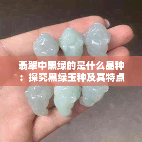 翡翠中黑绿的是什么品种：探究黑绿玉种及其特点