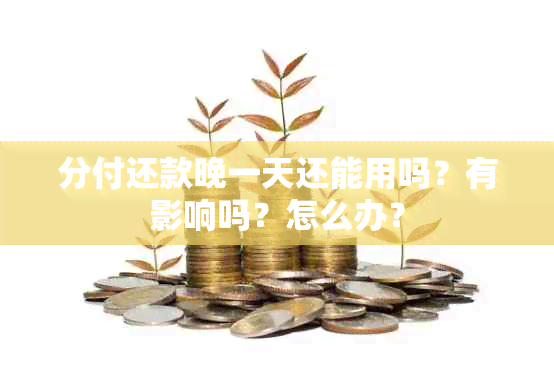 分付还款晚一天还能用吗？有影响吗？怎么办？