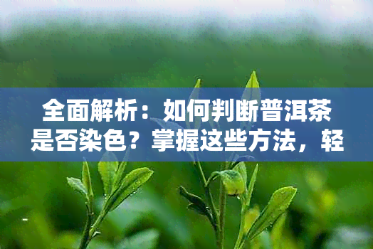 全面解析：如何判断普洱茶是否染色？掌握这些方法，轻松鉴别真假普洱茶！