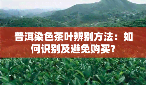 普洱染色茶叶辨别方法：如何识别及避免购买？