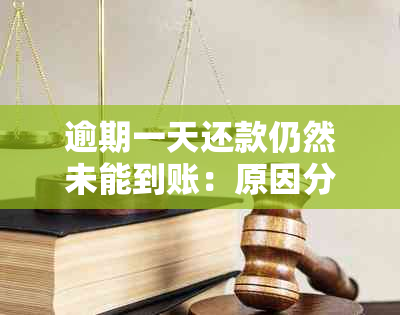 逾期一天还款仍然未能到账：原因分析与解决策略