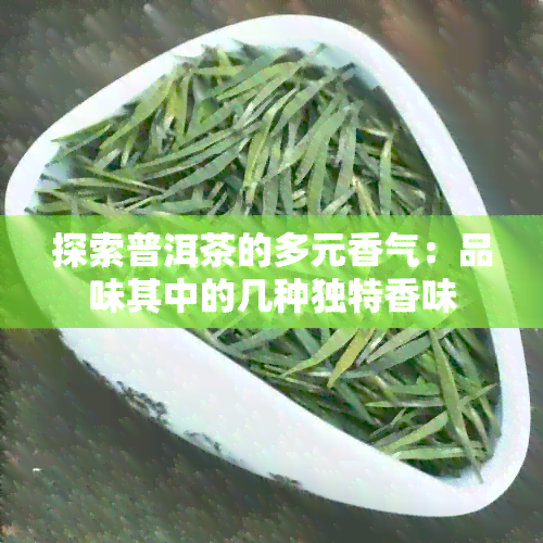 探索普洱茶的多元香气：品味其中的几种独特香味