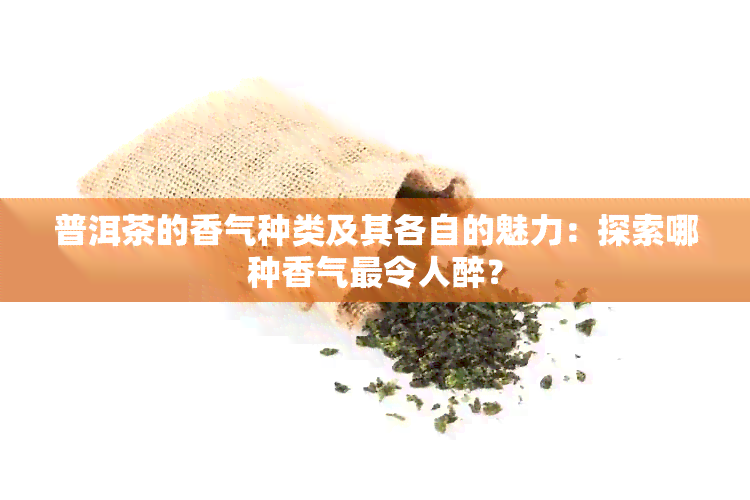 普洱茶的香气种类及其各自的魅力：探索哪种香气最令人醉？