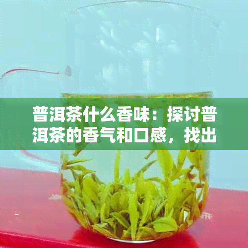 普洱茶什么香味：探讨普洱茶的香气和口感，找出更具魅力的香型和味道。