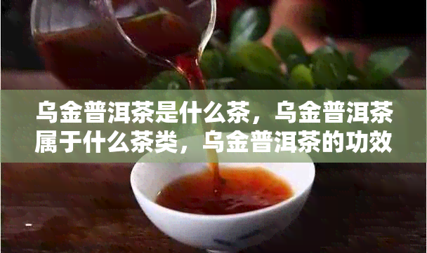 乌金普洱茶是什么茶，乌金普洱茶属于什么茶类，乌金普洱茶的功效与作用