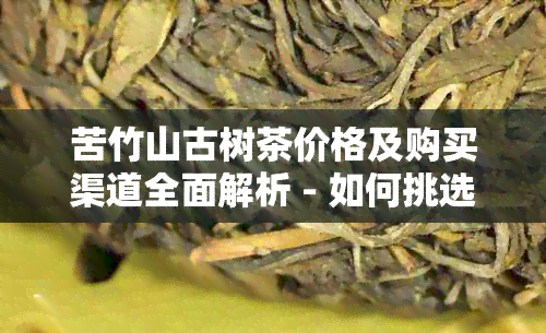 苦竹山古树茶价格及购买渠道全面解析 - 如何挑选优质古树茶？