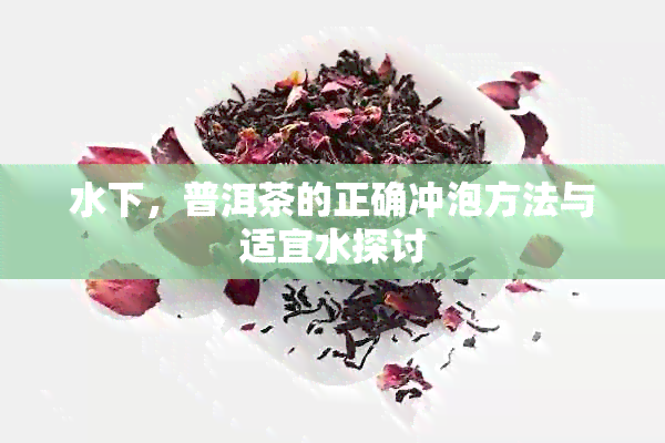 水下，普洱茶的正确冲泡方法与适宜水探讨