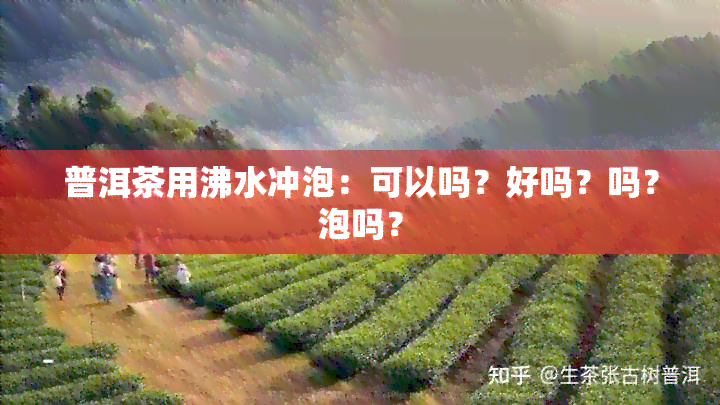 普洱茶用沸水冲泡：可以吗？好吗？吗？泡吗？