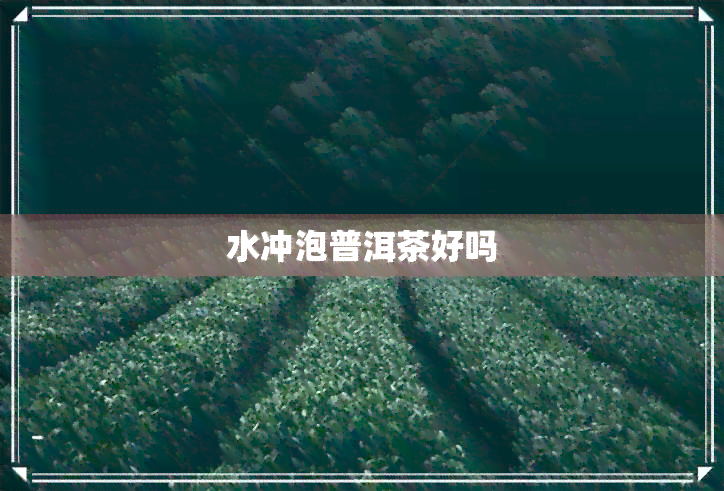 水冲泡普洱茶好吗