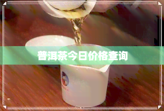 普洱茶今日价格查询