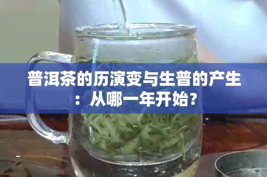 普洱茶的历演变与生普的产生：从哪一年开始？