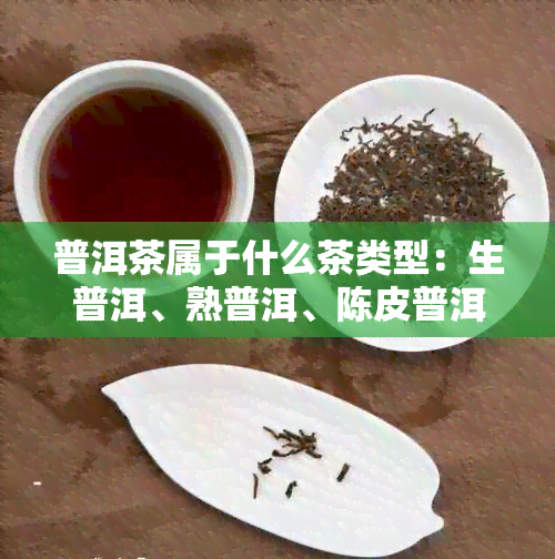 普洱茶属于什么茶类型：生普洱、熟普洱、陈皮普洱。