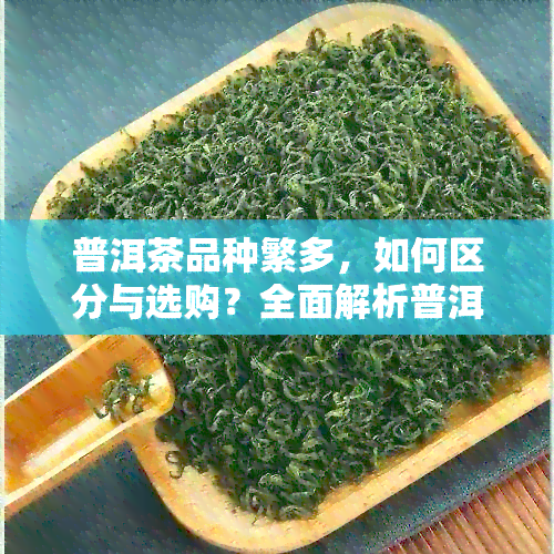 普洱茶品种繁多，如何区分与选购？全面解析普洱茶种类及特点