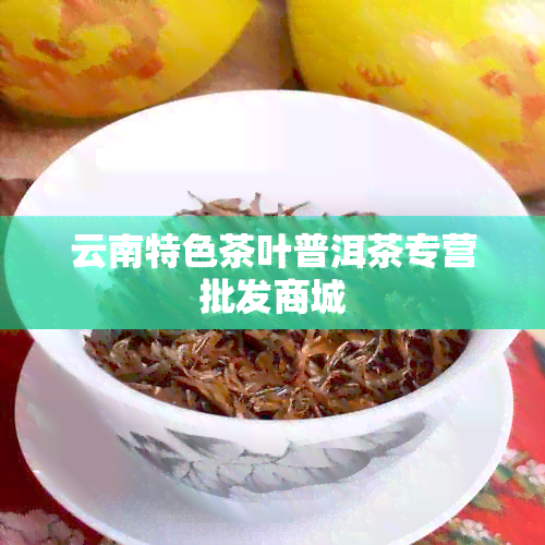 云南特色茶叶普洱茶专营批发商城