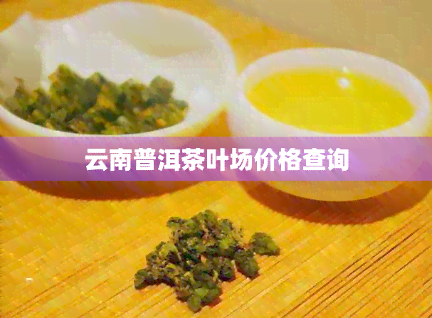 云南普洱茶叶场价格查询