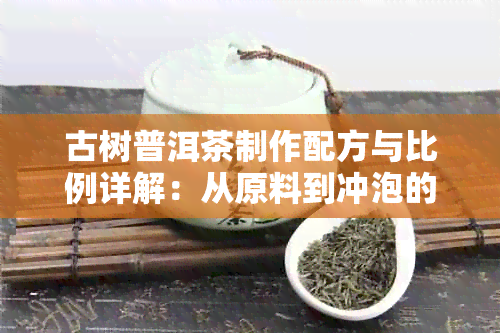 古树普洱茶制作配方与比例详解：从原料到冲泡的全方位指导