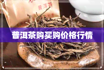 普洱茶购买购价格行情