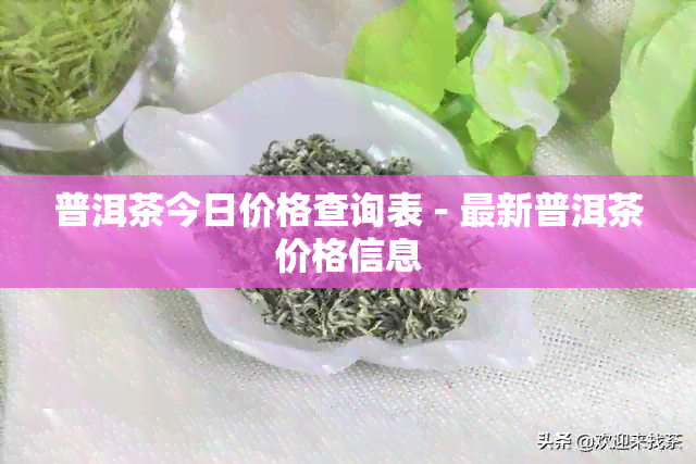 普洱茶今日价格查询表 - 最新普洱茶价格信息