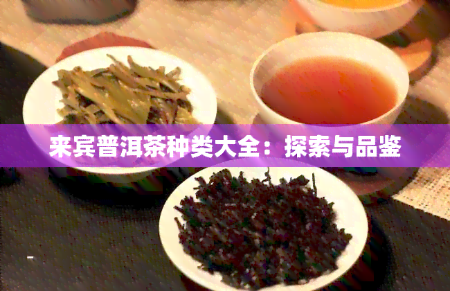 来宾普洱茶种类大全：探索与品鉴