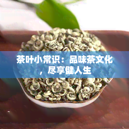 茶叶小常识：品味茶文化，尽享健人生