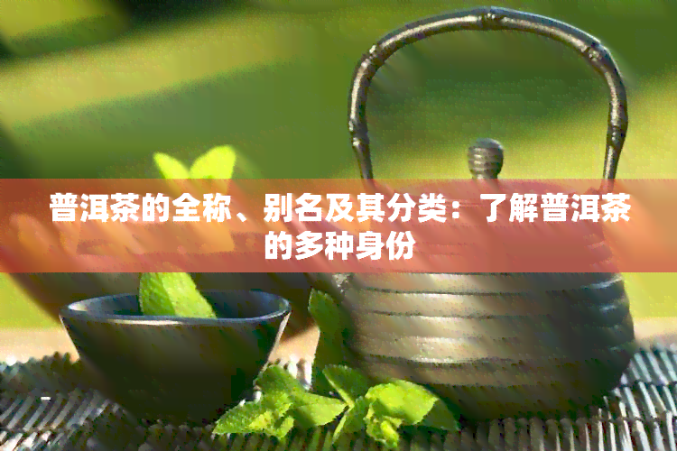 普洱茶的全称、别名及其分类：了解普洱茶的多种身份